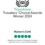 Travelers choice award 2024